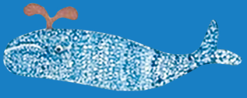 クジラ豆知識