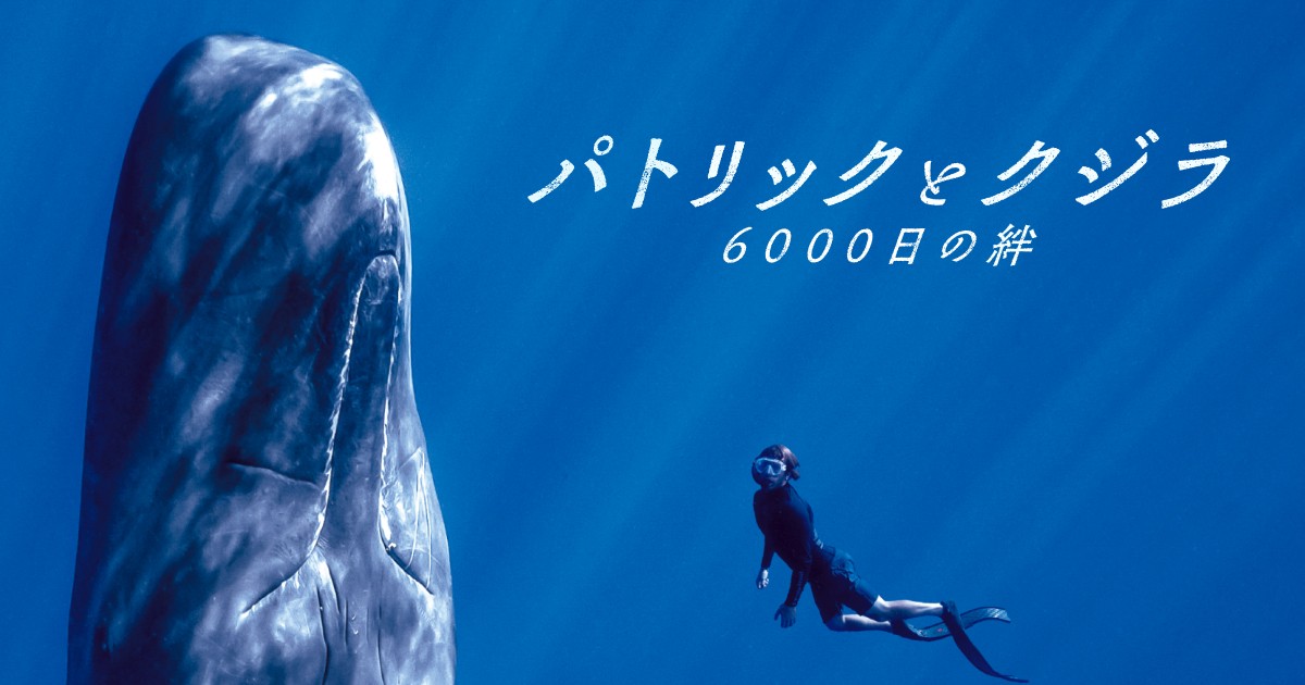 青いクジラ 青いクジラは沈まない - これからミステリー | マーダーミステリー東京
